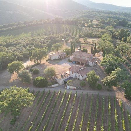Agriturismo Belvedere Di Pierini E Brugi Campagnatico Eksteriør bilde