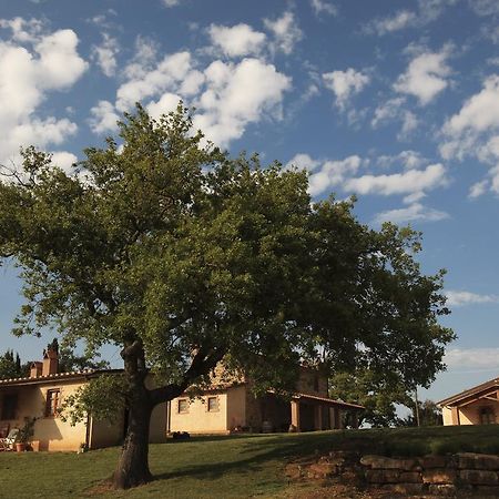 Agriturismo Belvedere Di Pierini E Brugi Campagnatico Eksteriør bilde