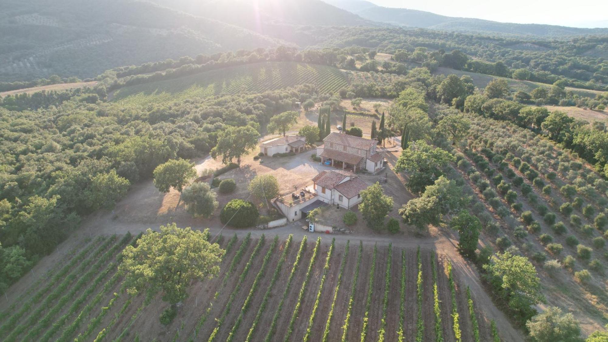 Agriturismo Belvedere Di Pierini E Brugi Campagnatico Eksteriør bilde