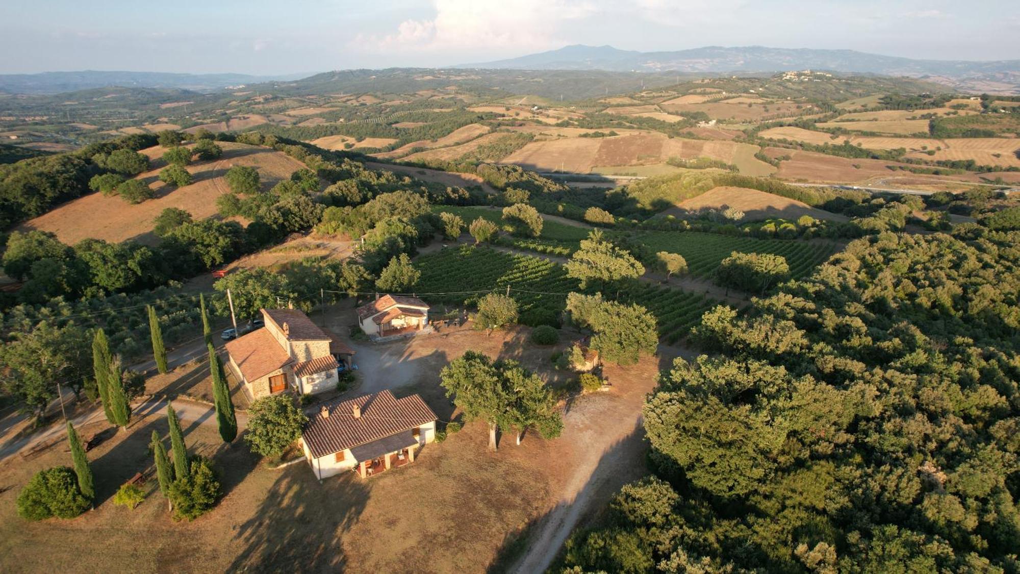 Agriturismo Belvedere Di Pierini E Brugi Campagnatico Eksteriør bilde