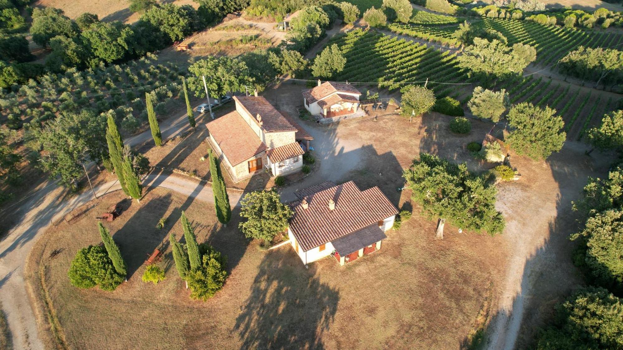Agriturismo Belvedere Di Pierini E Brugi Campagnatico Eksteriør bilde