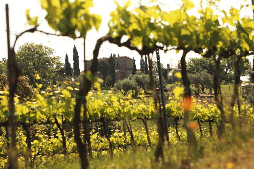 Agriturismo Belvedere Di Pierini E Brugi Campagnatico Eksteriør bilde