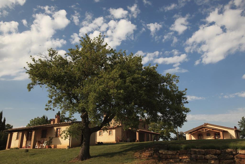 Agriturismo Belvedere Di Pierini E Brugi Campagnatico Eksteriør bilde