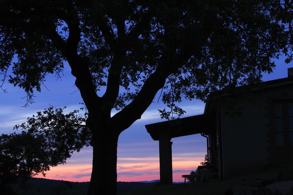 Agriturismo Belvedere Di Pierini E Brugi Campagnatico Rom bilde