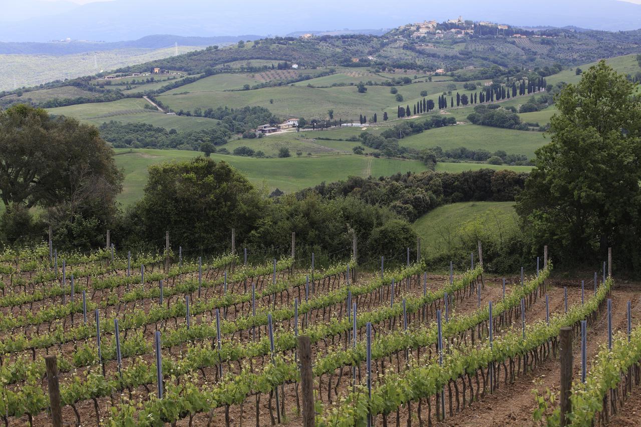 Agriturismo Belvedere Di Pierini E Brugi Campagnatico Eksteriør bilde