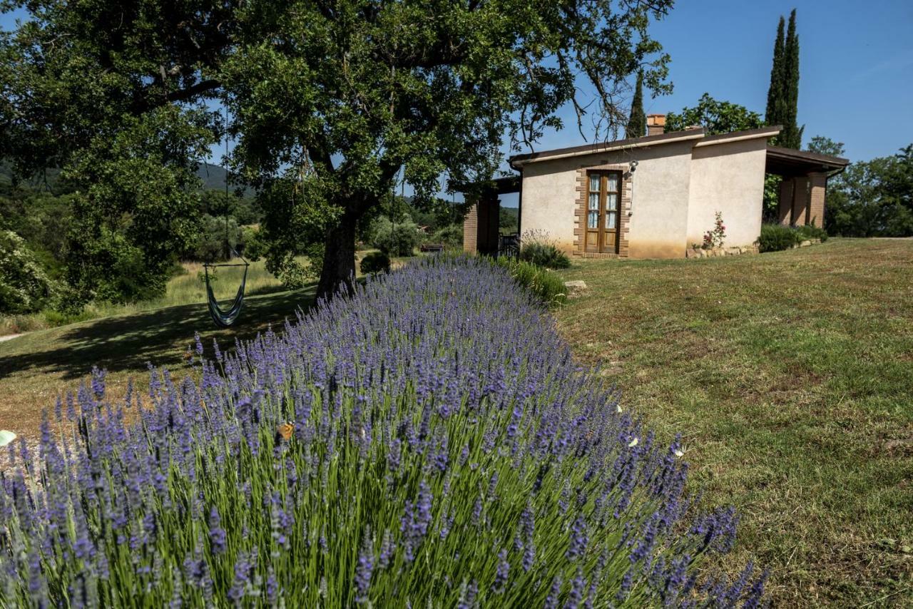 Agriturismo Belvedere Di Pierini E Brugi Campagnatico Eksteriør bilde